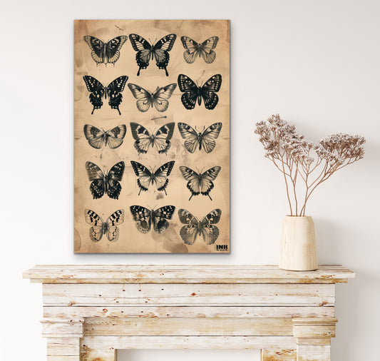 Vintage Butterfly Collection Canvas Wall Art