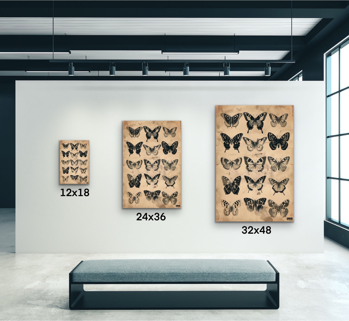 Vintage Butterfly Collection Canvas Wall Art