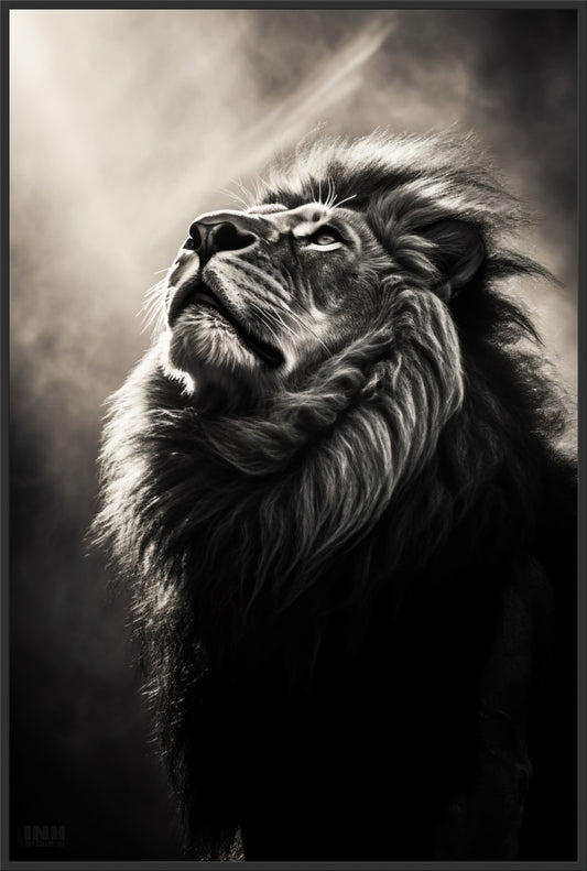 Majestic Lion Black & White Canvas Wall Art