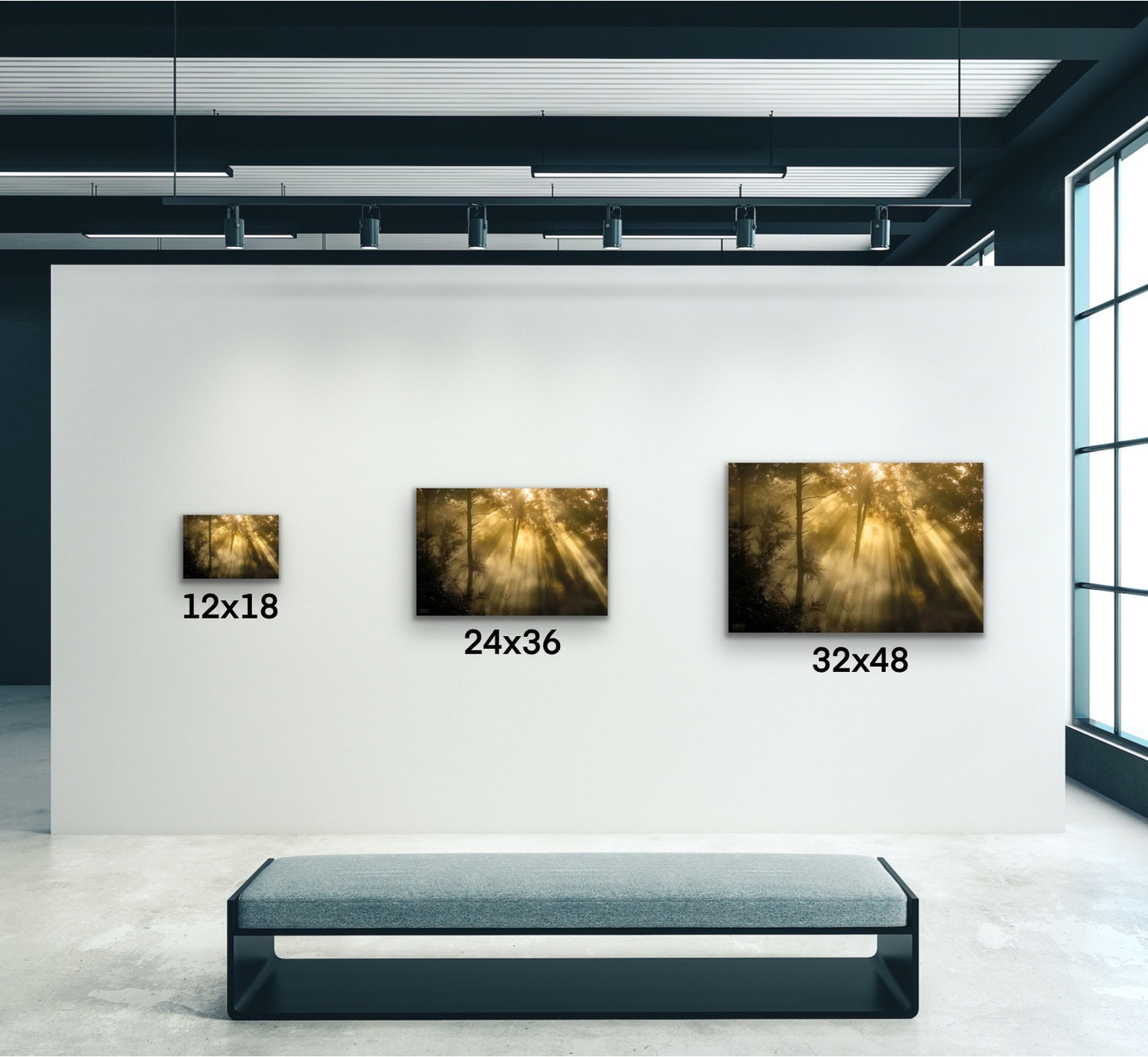 Golden Forest Light Canvas Wall Art