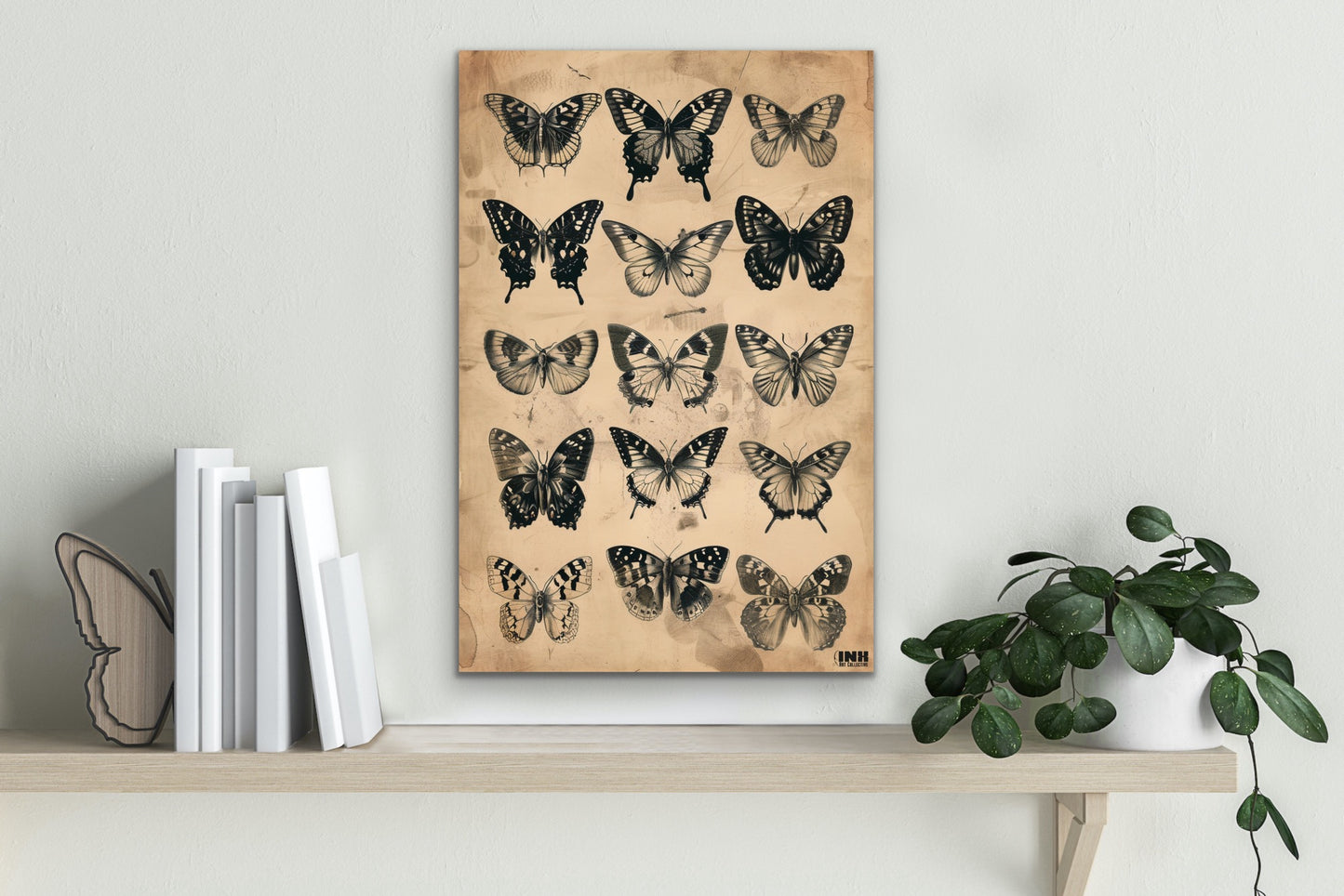 Vintage Butterfly Collection Canvas Wall Art