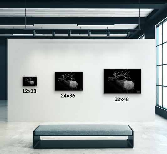 Monochrome Elk Canvas Wall Art