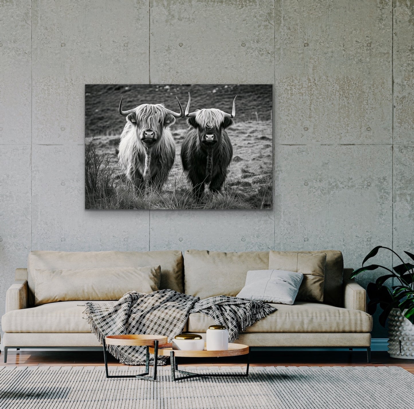 Highland Cow Duo Canvas Wall Art