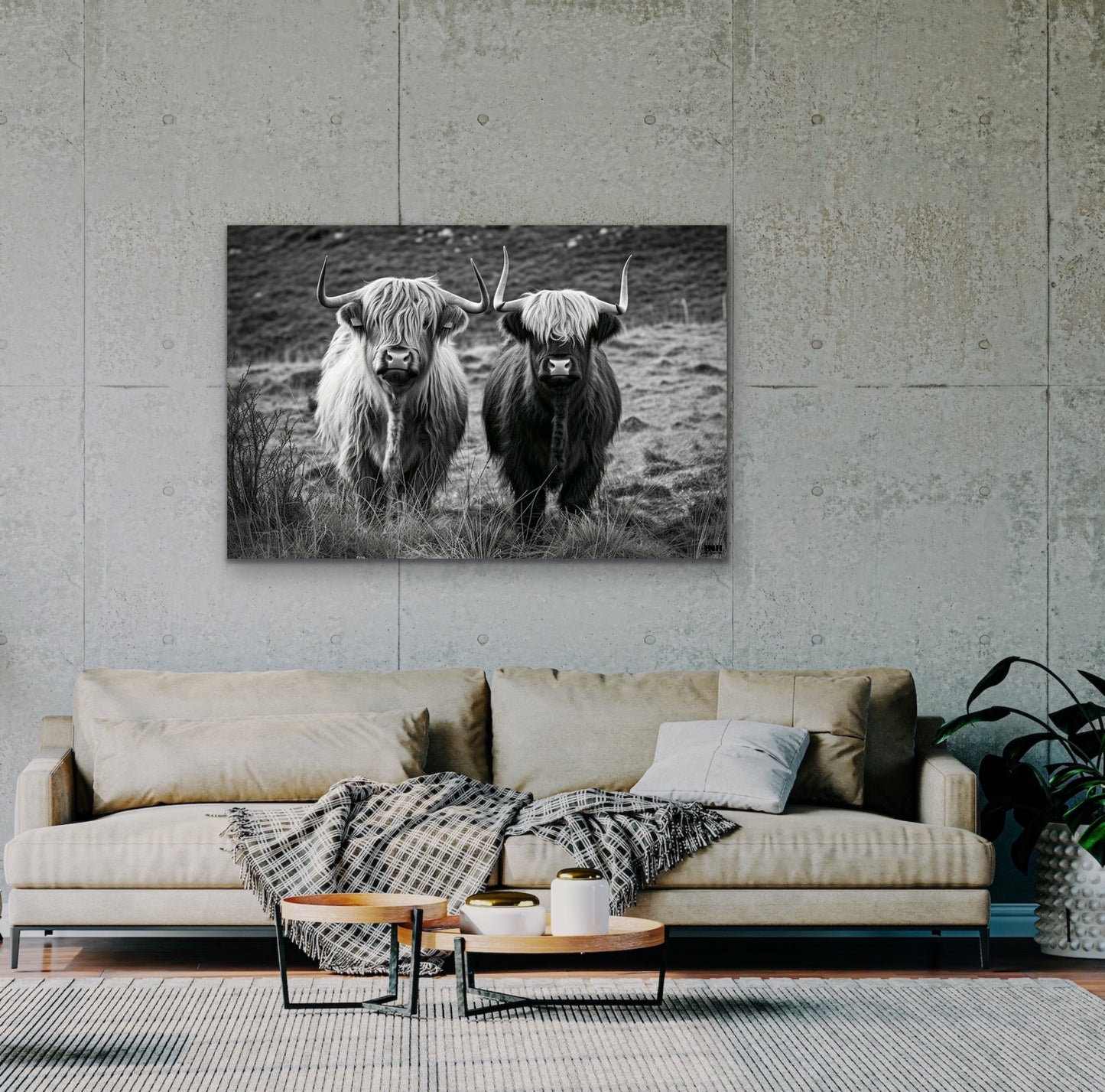 Highland Cows Black and White Canvas Art